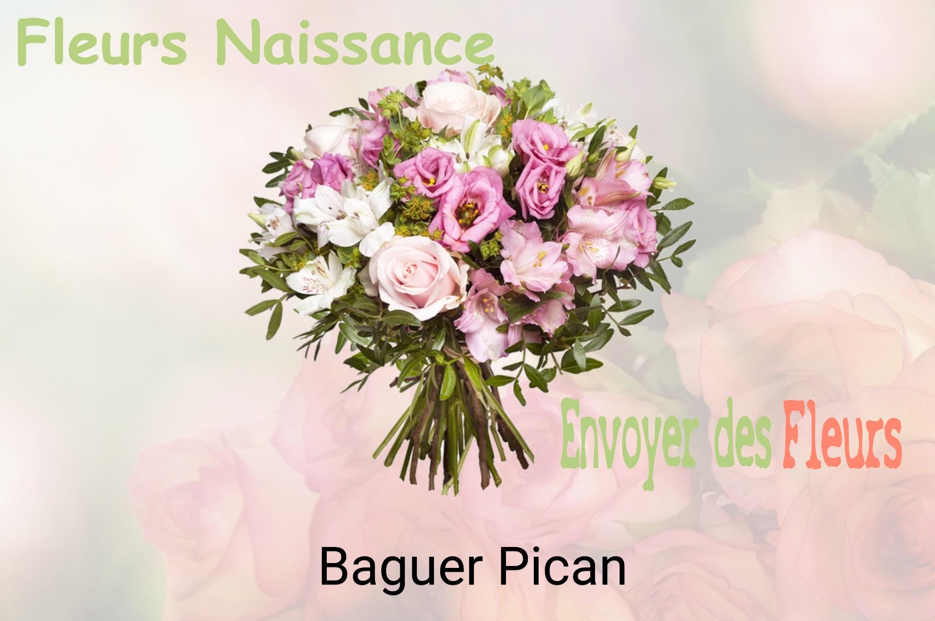 Bouquet de fleurs de naissance livré à Baguer-Pican
