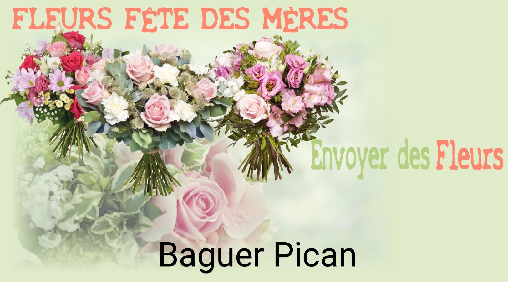 Bouquet de Fête des Mères livré à Baguer-Pican